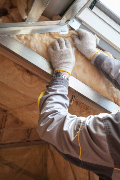 Best Commercial Insulation in Twin Lakes, CO