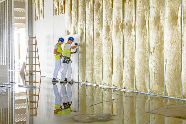 Best Insulation Installation Services in Twin Lakes, CO